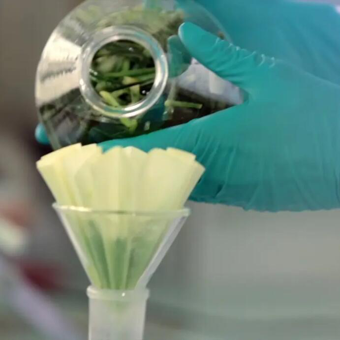 AD_WEBSITE_BRAND-PAGE_DP_AVOINE-EXTRACTION-JUS-PLANTULE_2021