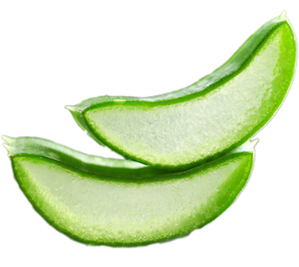 image-aloe-vera-330x295