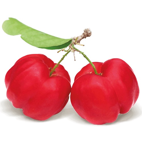 acerola_macro-superdiet-sddm