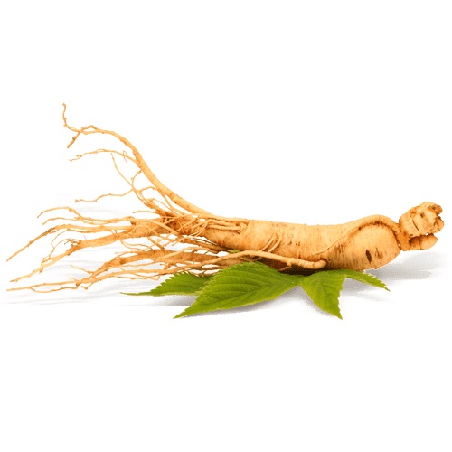 ginseng_superdiet_sddm
