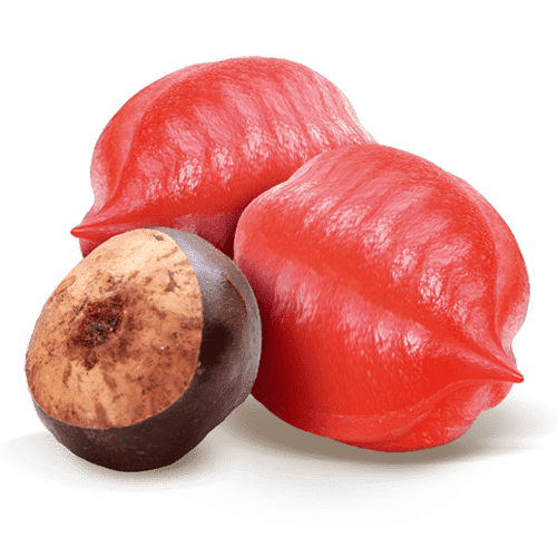 guarana_superdiet_sddm