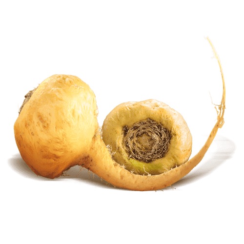 maca_vitalite_superdiet_sddm