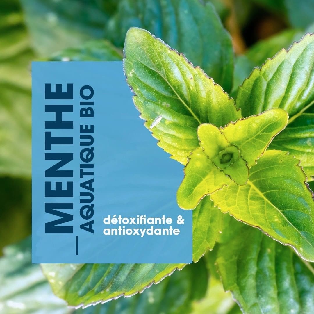 menthe_aquatique_bio_klorane_mauritius_sddm