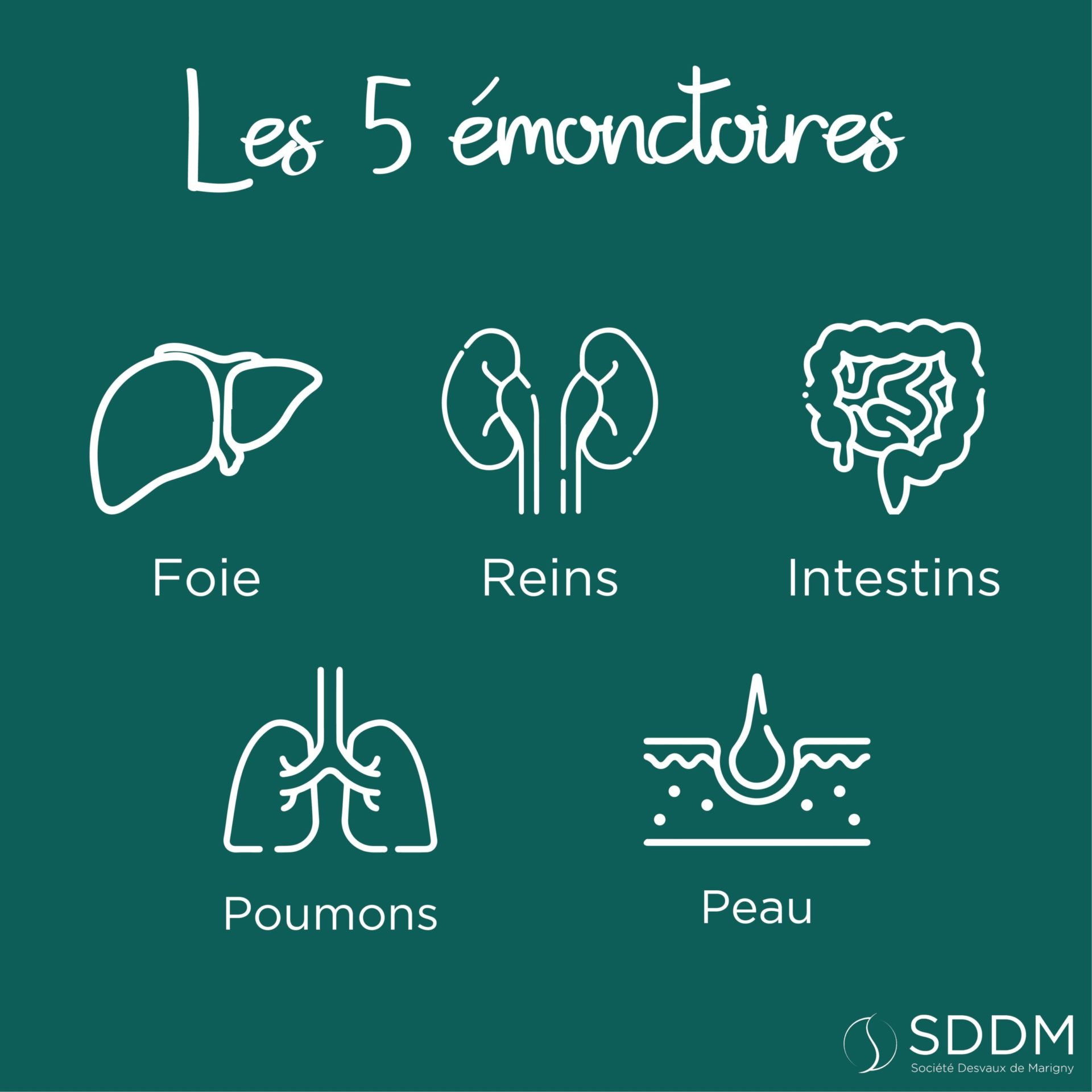 wellness_by_sddm_superdiet_emonctoires démarche éco-responsable #SPOR