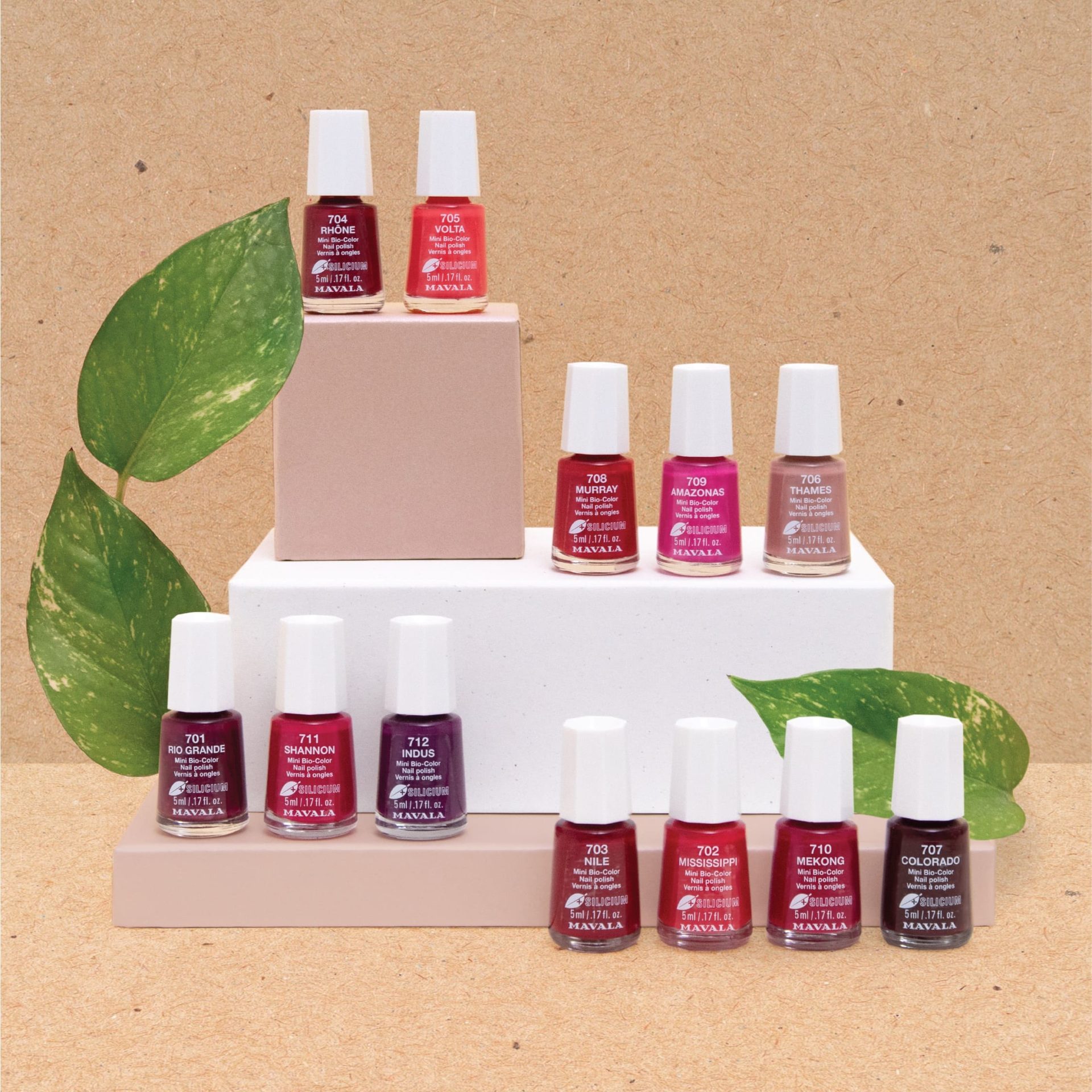 Fixateurs de vernis