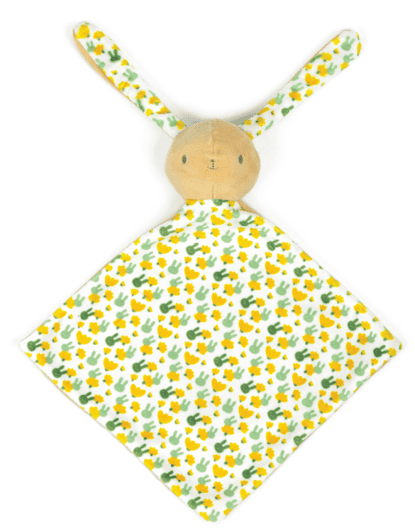 24-klbb-lapin