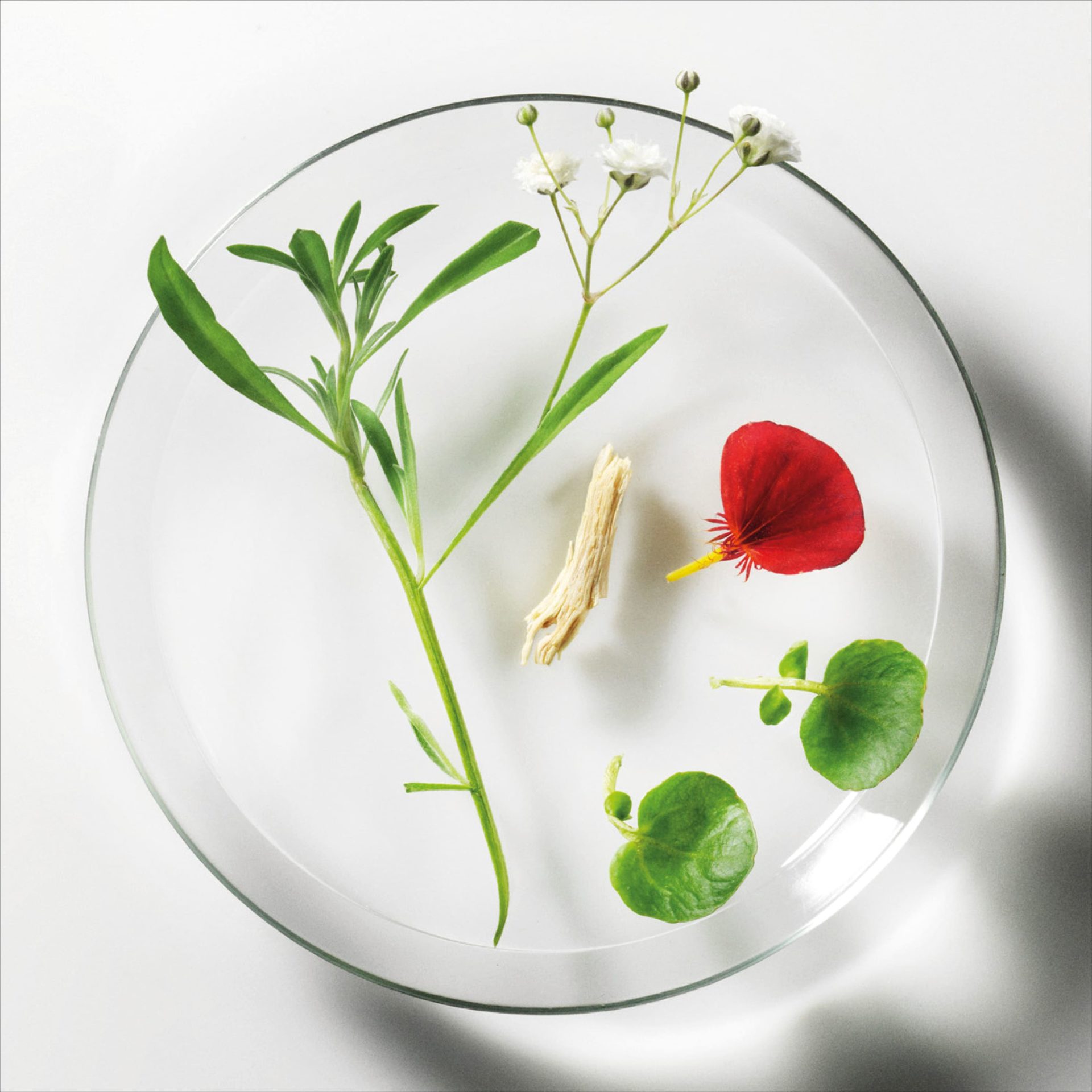 Huiles essentielles - Tout ce qu’il faut savoir pour bien débuter1