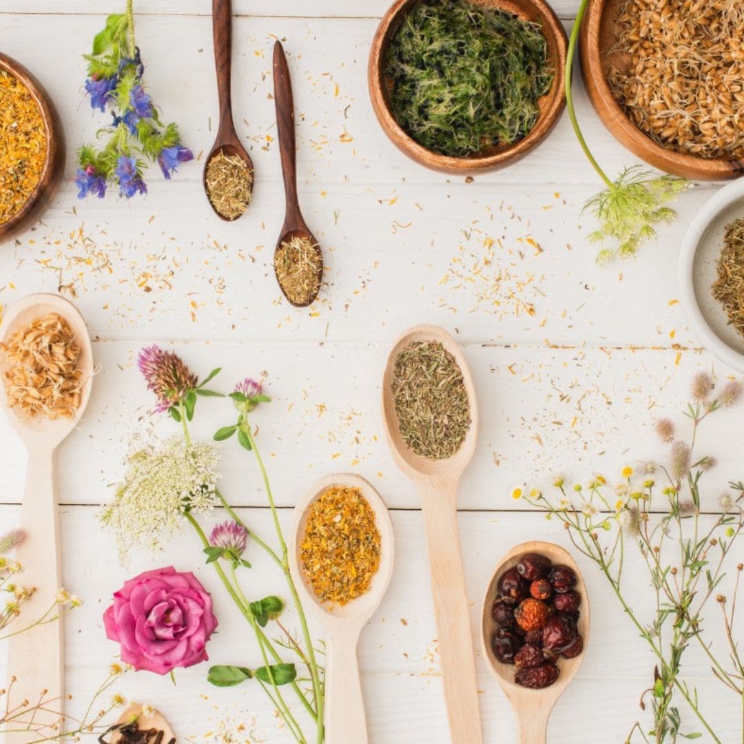 Engagement envers la santé naturelle et biologique avec Super Diet 1