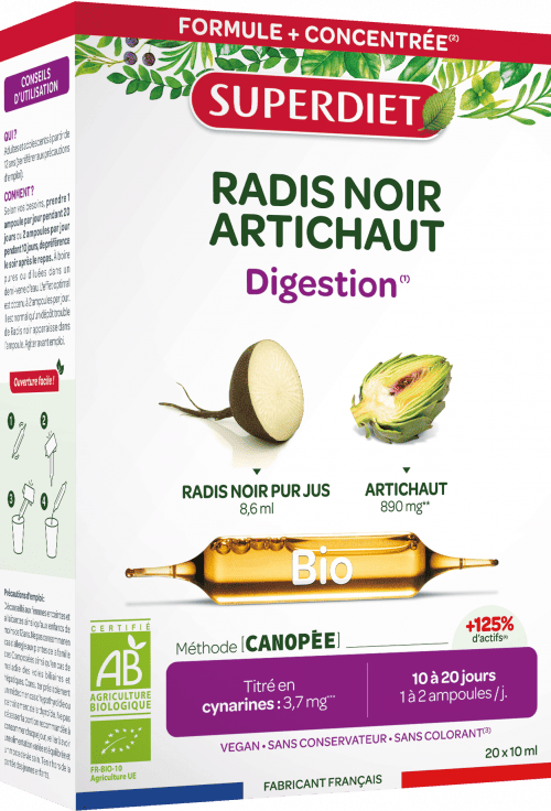 Radis Noir Artichaut visuel Radis Noir Artichaut Bio