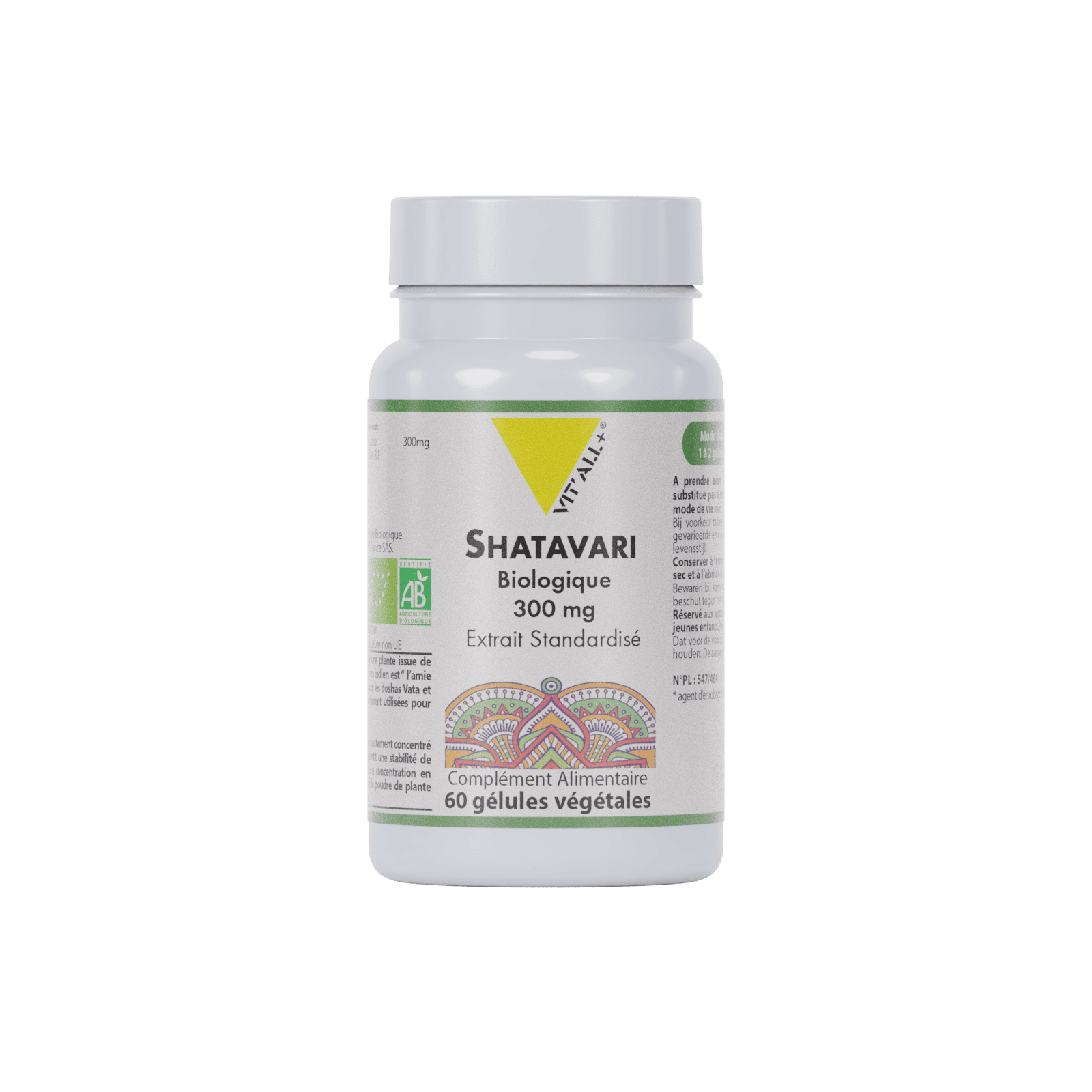 Infusion Ventre Plat