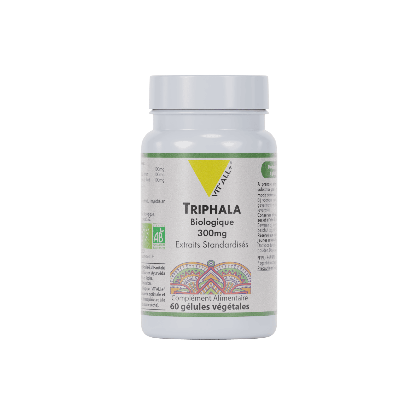 Infusion Ventre Plat